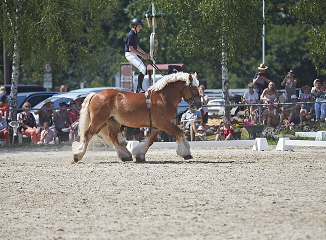 2023MueckePonyJub0109