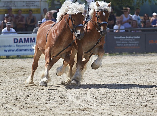 2023MueckePonyJub0112