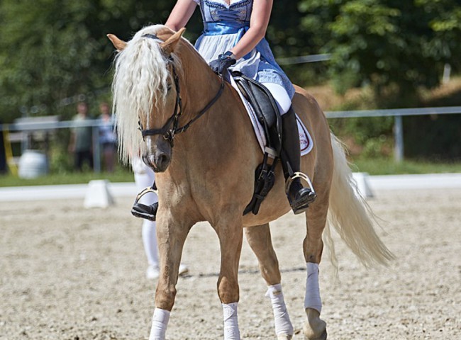 2023MueckePonyJub0131