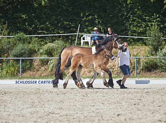 2023MueckePonyJub0134