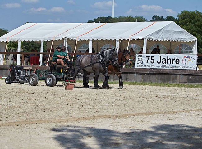 2023MueckePonyJub0140