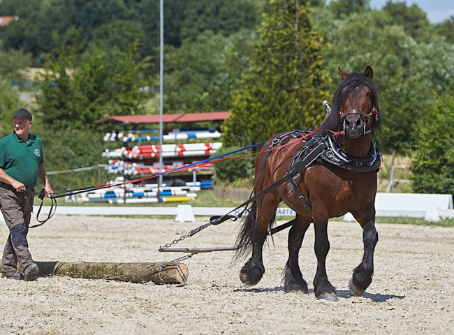 2023MueckePonyJub0149