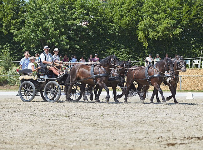 2023MueckePonyJub0152