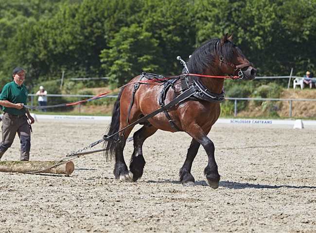 2023MueckePonyJub0155