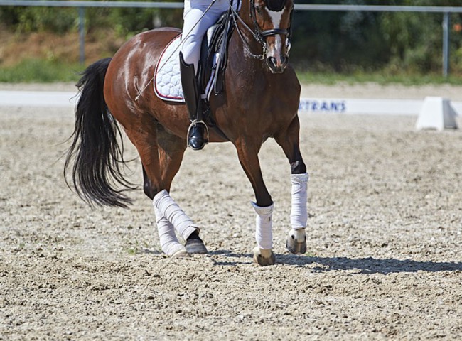 2023MueckePonyJub0169