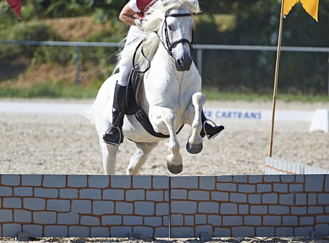 2023MueckePonyJub0193