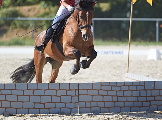 2023MueckePonyJub0194