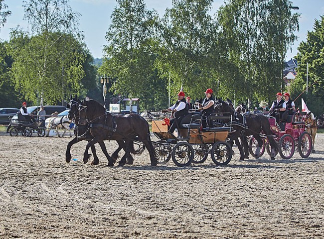 2023MueckePonyJub0199