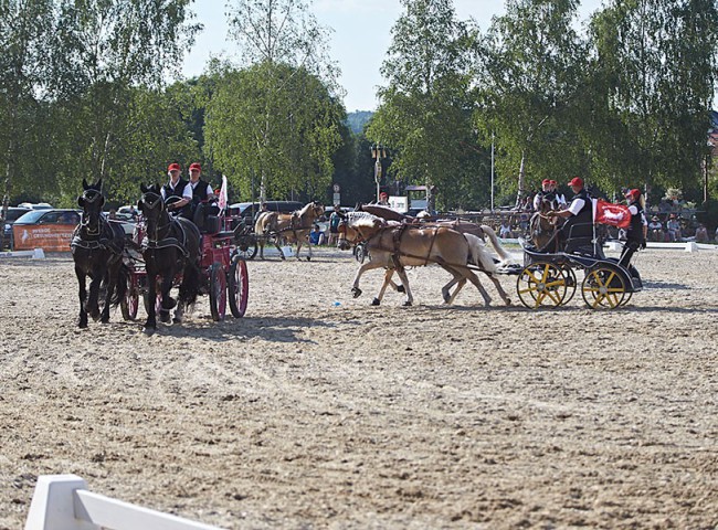 2023MueckePonyJub0201