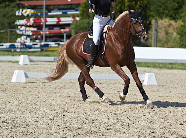 2023MueckePonyJub0219