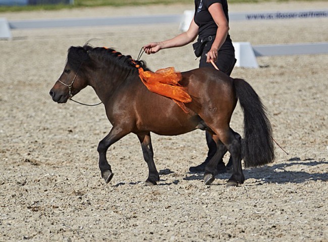 2023MueckePonyJub0228