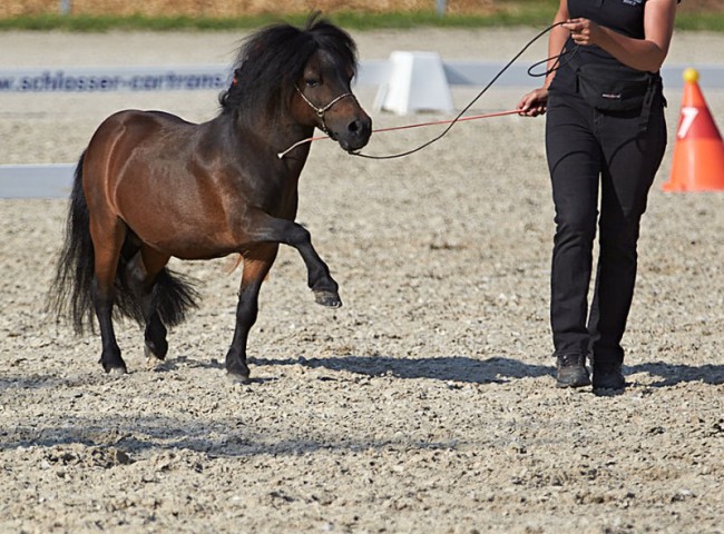 2023MueckePonyJub0229