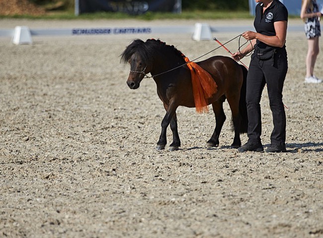 2023MueckePonyJub0230