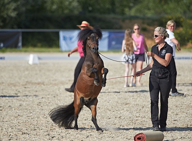 2023MueckePonyJub0231