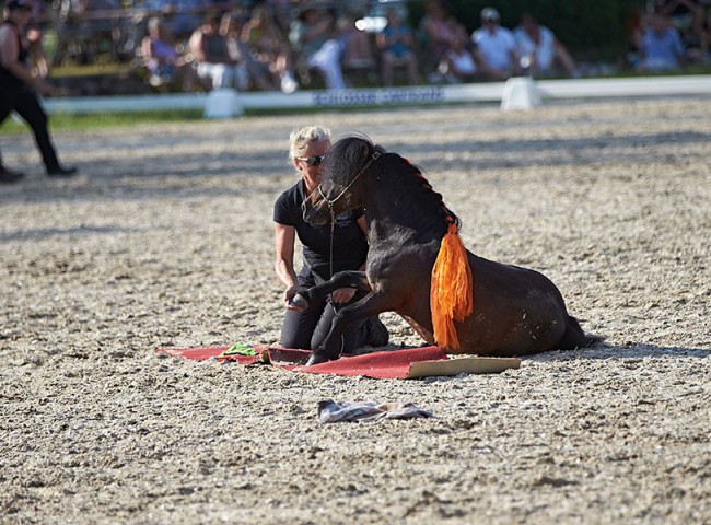 2023MueckePonyJub0232