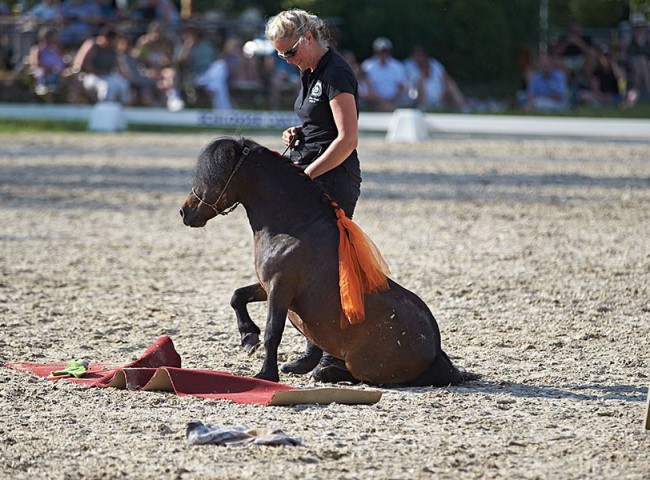 2023MueckePonyJub0233