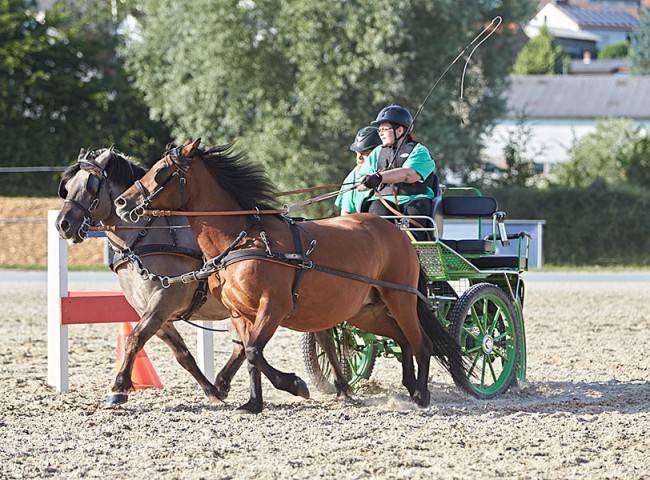 2023MueckePonyJub0241