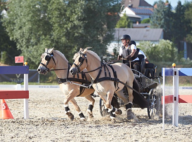 2023MueckePonyJub0244