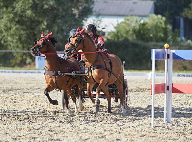 2023MueckePonyJub0252