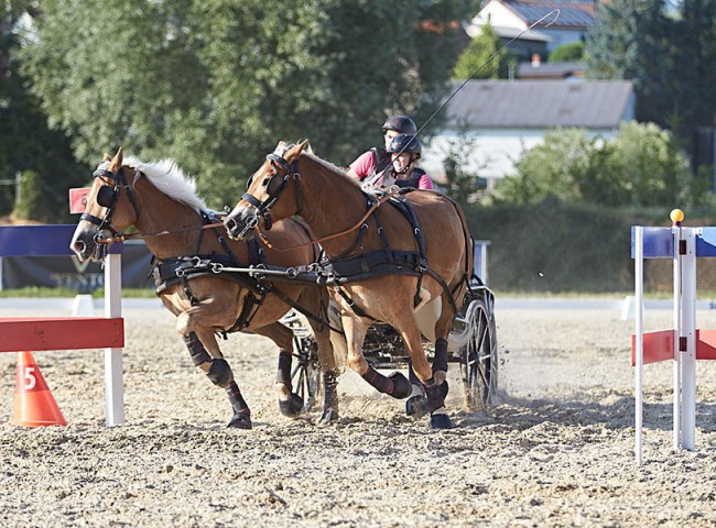 2023MueckePonyJub0254