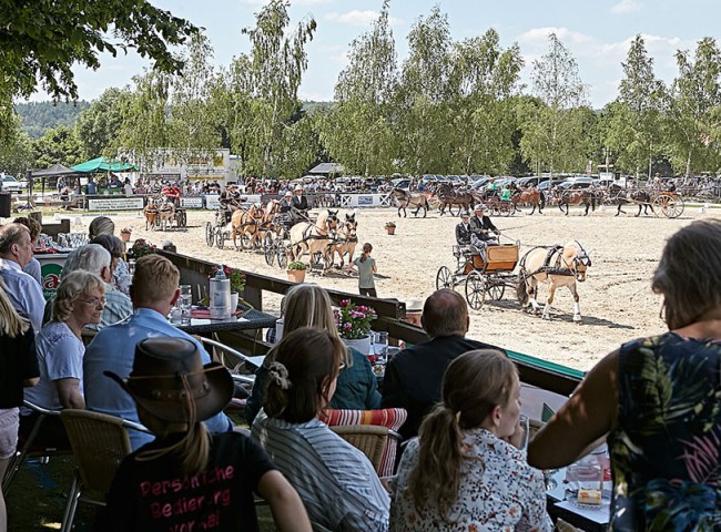 2023MueckePonyJub0258