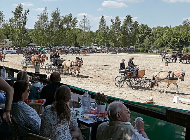 2023MueckePonyJub0259