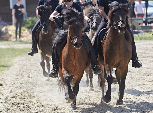 2023MueckePonyJub0276