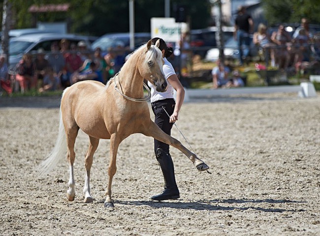 2023MueckePonyJub0278