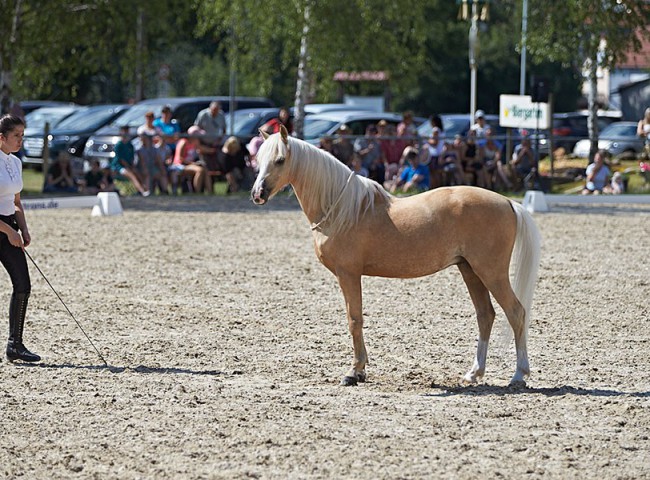 2023MueckePonyJub0282