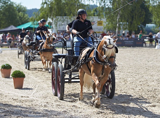 2023MueckePonyJub0293