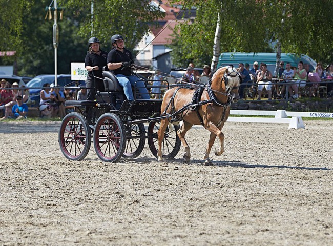 2023MueckePonyJub0297