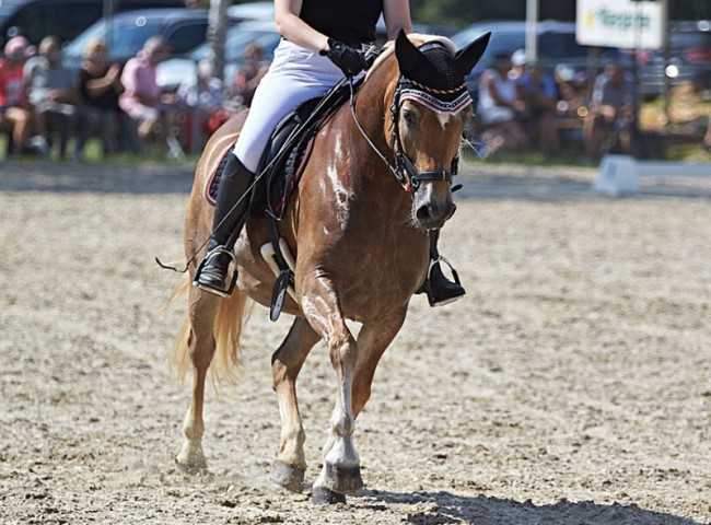 2023MueckePonyJub0303