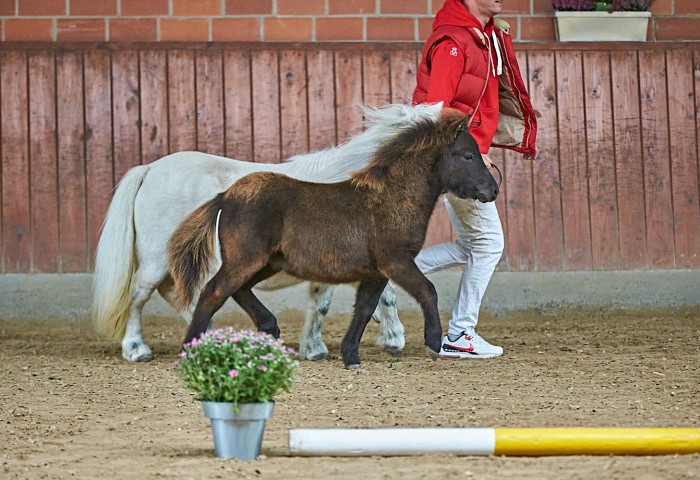 Kaventsmann von der Blumenwiese  (Katlognummer 10)