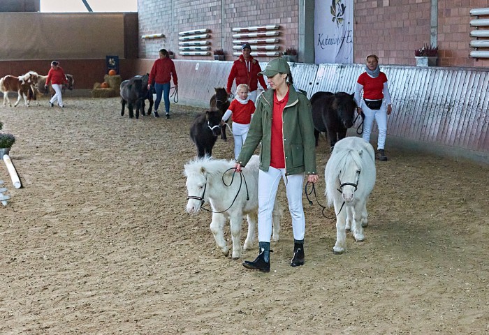 Schrittring Shetland Ponys 