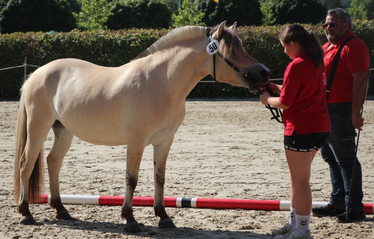 3a Junis1a(3-4jährig)