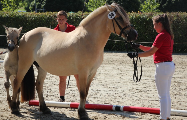 4b  Maja1b(5-7jährig