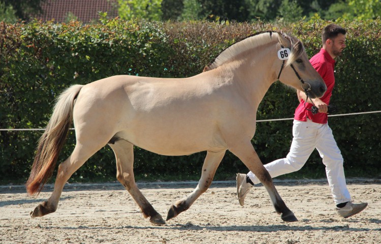 5b  Kiss Yola 1b(8-10jährig)