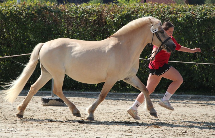 6b  Lene 1b (11undälter)