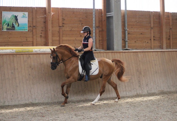 Kastanienhof Cold as Ice mit Corinna Kühler