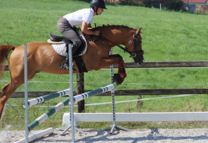 Kastanienhofs Cold as Ice mit Till Gaab im Parcourstest