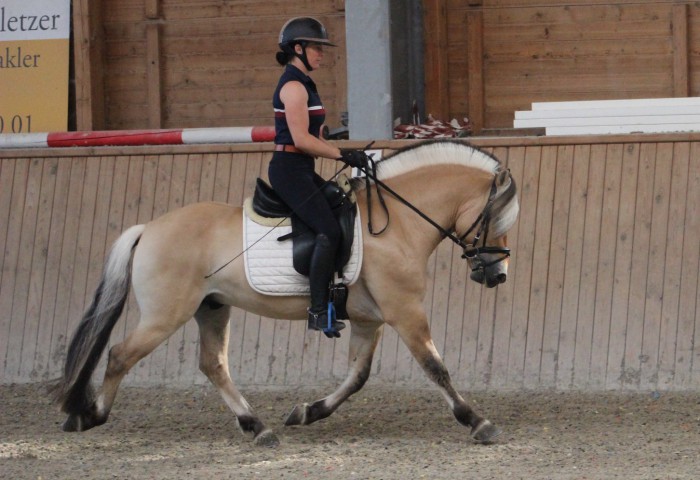 Testreiterin Corrina Kühler mit Dylano