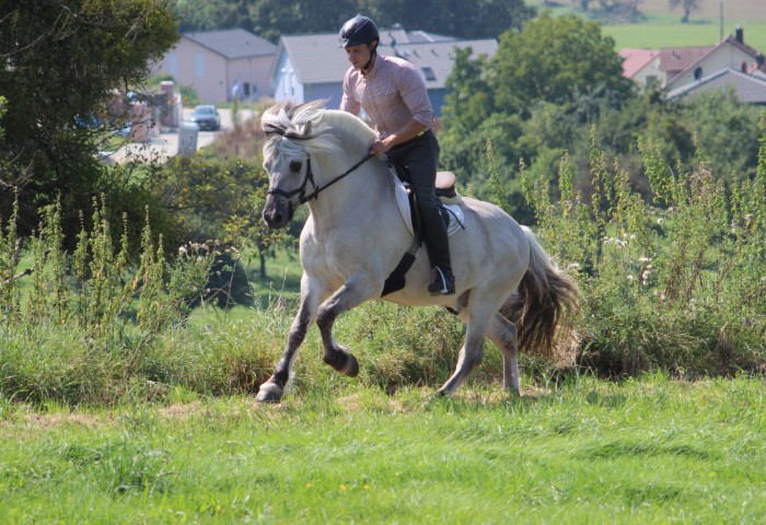 Vik van den Bosdries mit Nico Müller im Gelände, , Foto: Una Eichner
