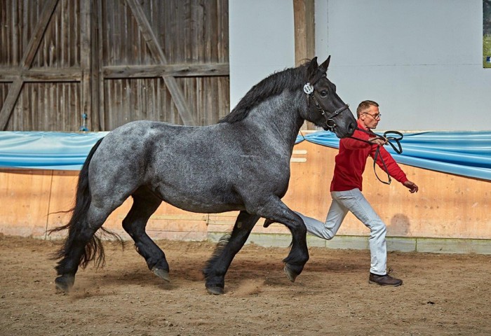 Rheinisch Deutsches KB 