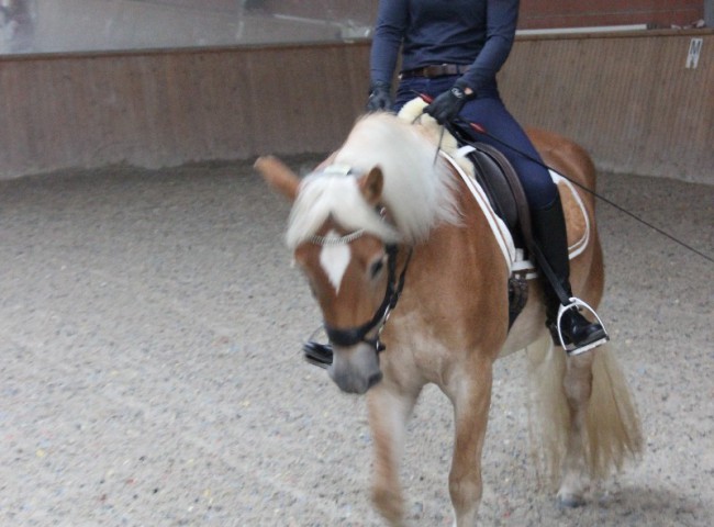Annika Dechert war zum ersten Mal als Fremdreiterin im Einsatz