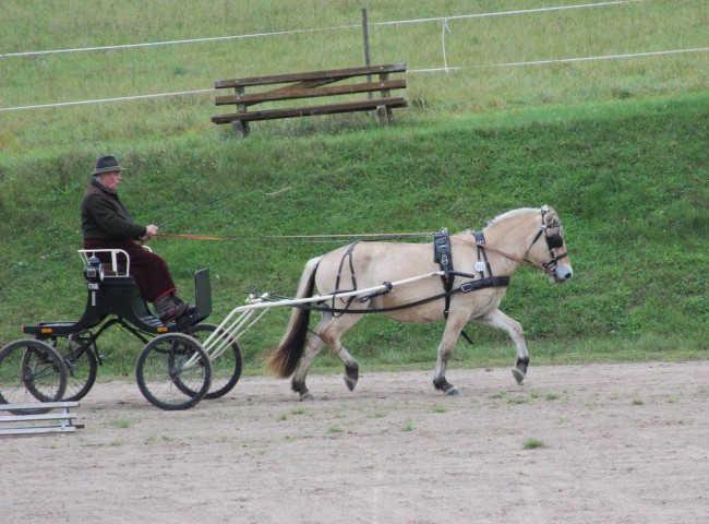Filia mit Fremdfahrer Andreas Müller