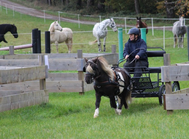 Gothens Kayman mit Sabrina Schneider im Gelände
