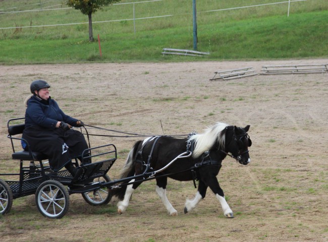 Likedeelers Merrie Jane gefahren Lena Kaiser