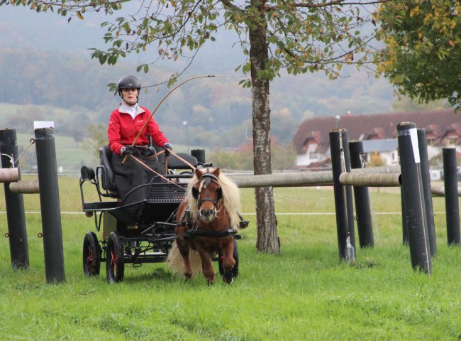 Merlin mit auf der Geländestrecke