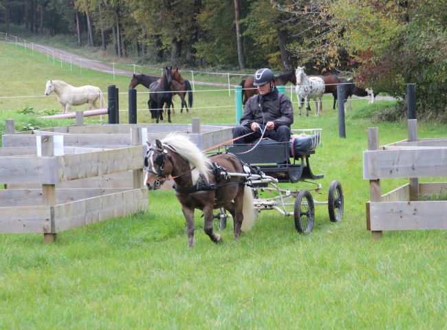 Merlin mit Theo Habich im Gelände