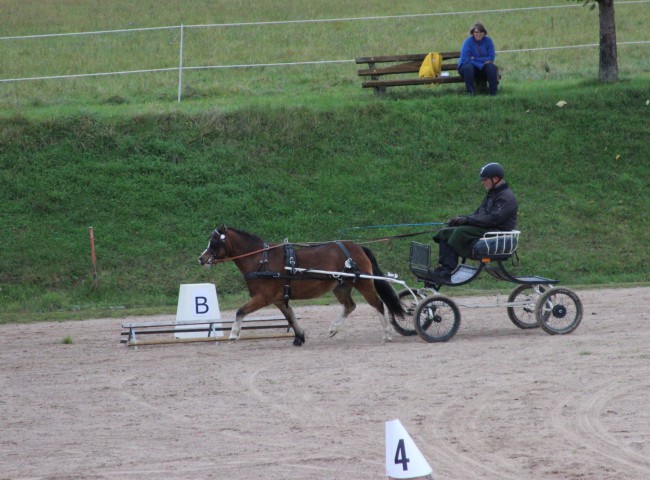 Polhaar Prisor mit Theo Habich